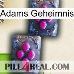 Adams Secret 01